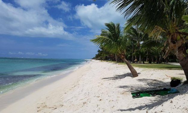Zon, zee, strand en groene natuur tijdens een vakantie Mauritius